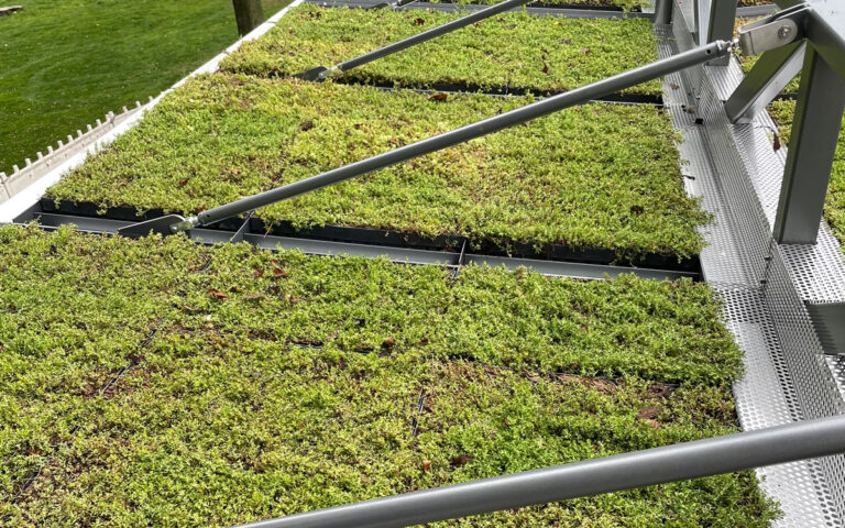 Gründach der Überdachung System O