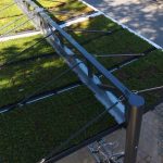 Gründach der doppelzeiligen Fahrradüberdachung Typ O am Bahnhof in Soest