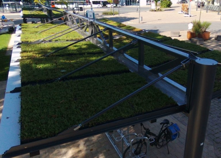 Gründach der doppelzeiligen Überdachung Typ O am Bahnhof in Soest