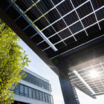 Unterseite der Bifaszialen PV Module