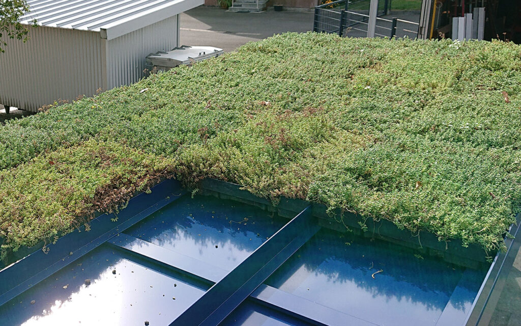 Detail der Dachkassetten zur Dachbegrünung der Wartehalle A-G