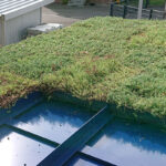 Detail der Dachkassetten zur Dachbegrünung der Wartehalle A-G