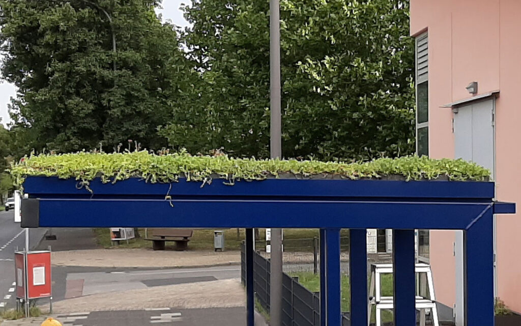 Seitenansicht der Wartehalle A-G mit Gründach