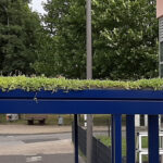 Seitenansicht der Wartehalle A-G mit Gründach