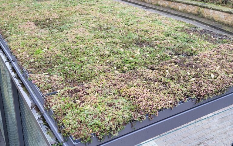 Detail Dacheindeckung mit Gründach